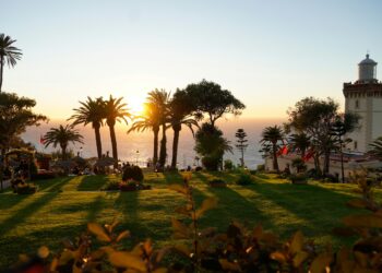 Accor plans a new Sofitel in Tangier alongside hospitality academy for local talent